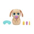 Baby Paws - Just Born - Puppy - Image