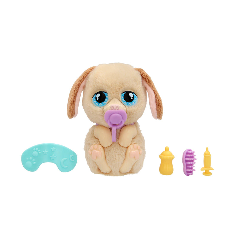 Baby Paws - Just Born - Puppy - Image