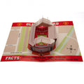 Manchester United FC Pop-Up Birthday Card, alternate view