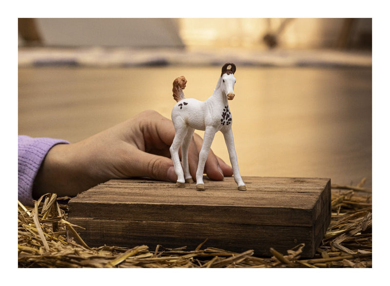 Schleich - Marwari Foal - Image