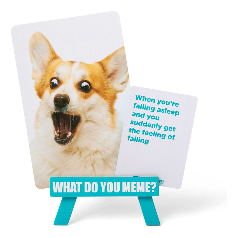 What Do You Meme? Family Edition - Image