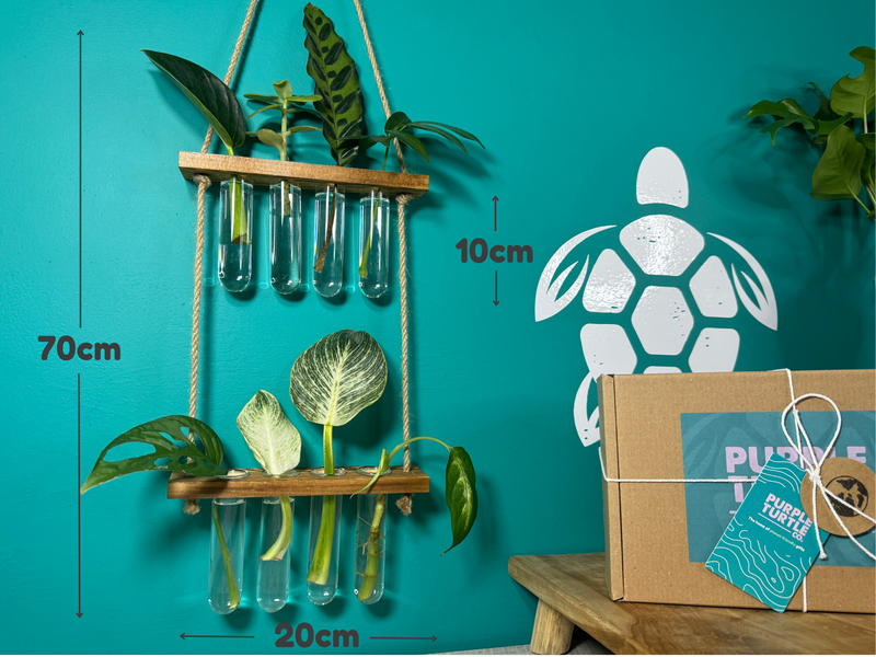 Plant Propagation Gift Set #4, in display