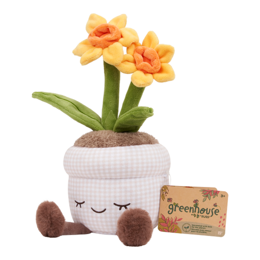 Greenhouse - 12" Daffodil