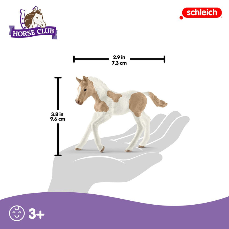 Schleich - Paint Horse Foal - Image