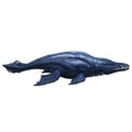 Jurassic World Wild Roar: Brachauchenius - Image