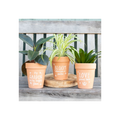Bloom Where You Are Planted Terracotta Plant Pot