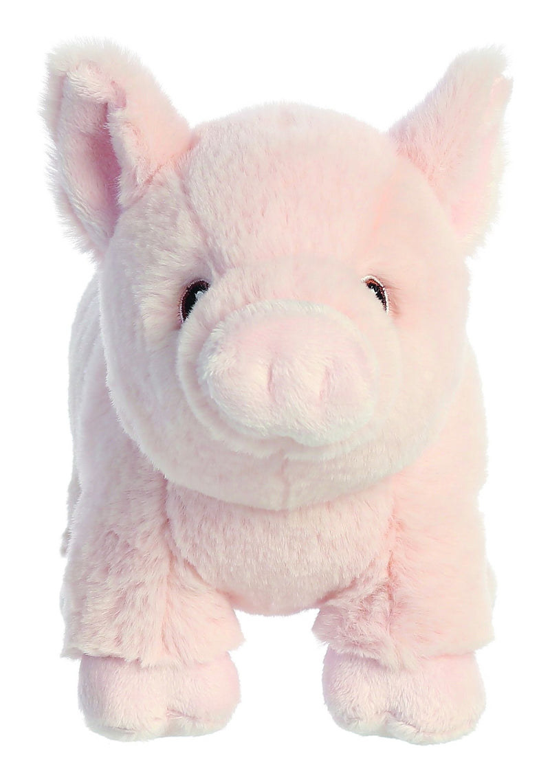 eco-nation-pig-9-5