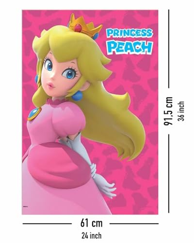 Super Mario Princess Peach Poster, in display