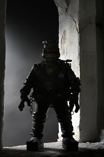 TMNT / Universal Raphael As Frankenstein's Monster Ultimate, packaging shot