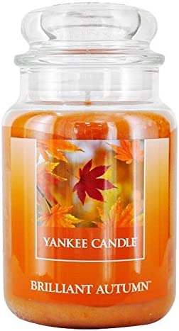 Yankee Candle Brilliant Autumn Large Jar Orange 22oz collectible from hanrattycraftsgifts.co.uk