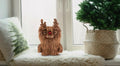 Fuggler Festive Fuggs Gingerbread Man 9" Plush
