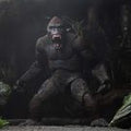 King Kong: Ultimate 7" Scale Action Figure (view 6)