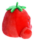 Palm Pals Boyd Tomato 5" - Image