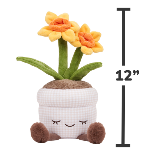 Greenhouse - 12" Daffodil
