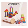 LTV Rainbow Baby Walker & Puzzle