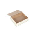 Green Book Shaped Storage Box