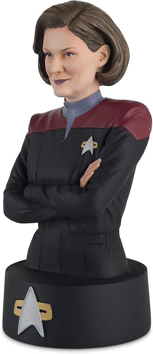 Captain Janeway Model Die Cast Bust Figure (Eaglemoss Star Trek The Official Busts Collection), alternate view