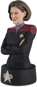 Captain Janeway Model Die Cast Bust Figure (Eaglemoss Star Trek The Official Busts Collection), alternate view