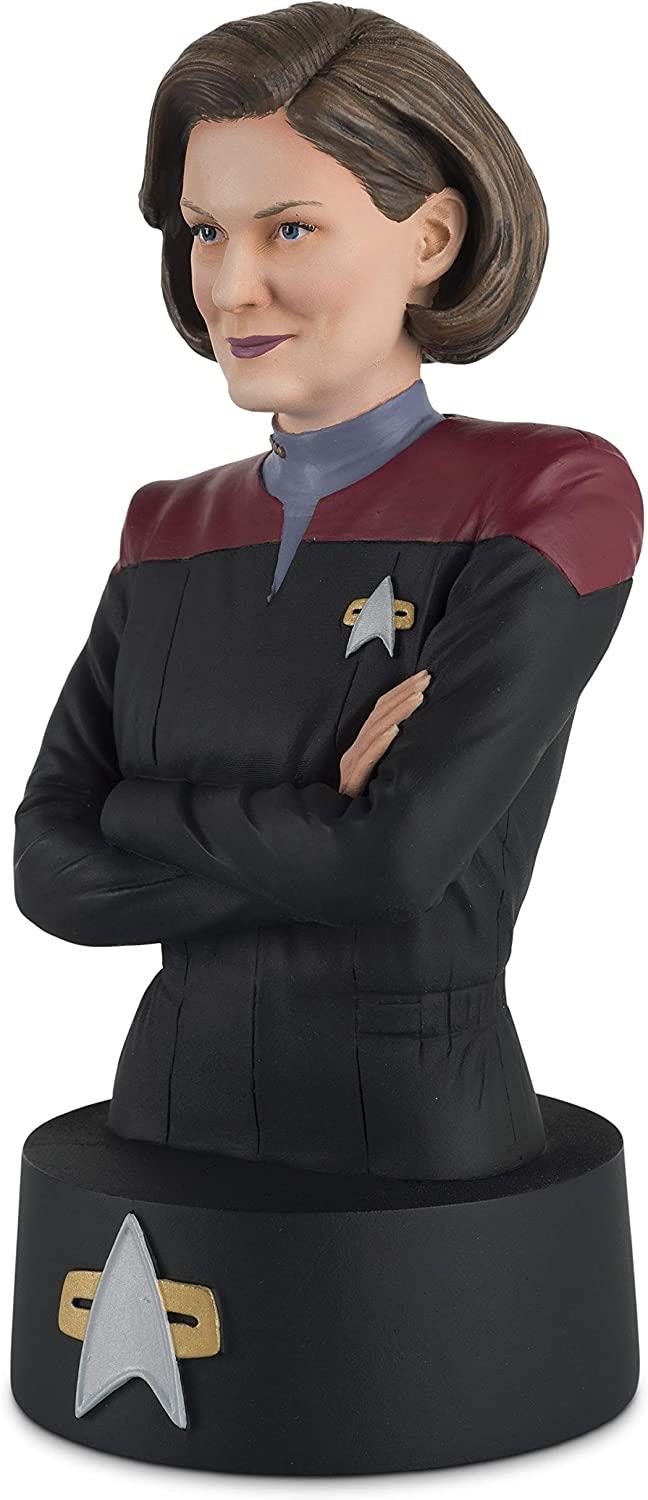 Captain Janeway Model Die Cast Bust Figure (Eaglemoss Star Trek The Official Busts Collection), alternate view