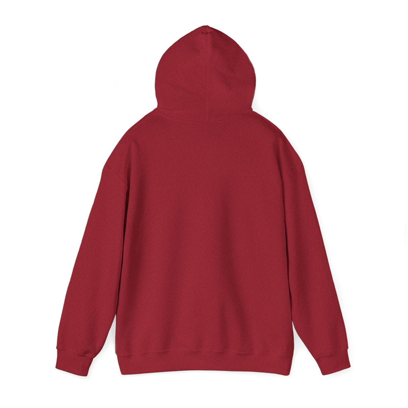 'Life Sounds Better on Vinyl' Men's Hoodie, rear view
