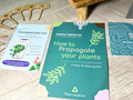 Plant Propagation Gift Set #4, close-up detail