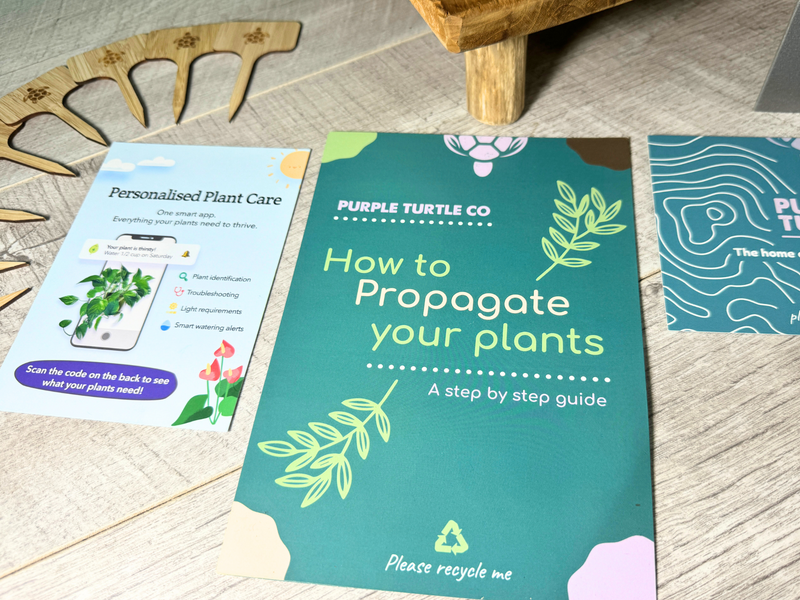 Plant Propagation Gift Set #4, close-up detail