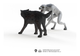 Schleich - Werewolf VS Animagus