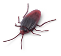 Robo Alive Crawling Cockroach Glow in the Dark - Image