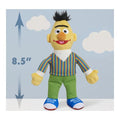 Sesame Street Friends Plush