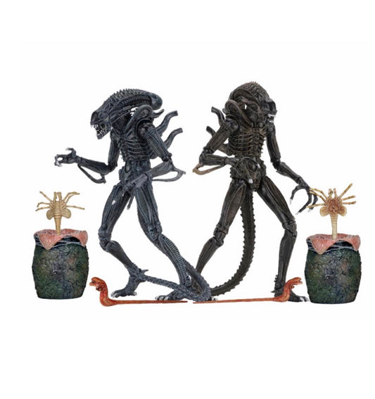 Aliens (1986) Warrior Blue and Brown Ultimate 7" Scale Action Figure Assortment front view
