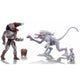 Alien And Predator 6" Scale Action Figure Assortment