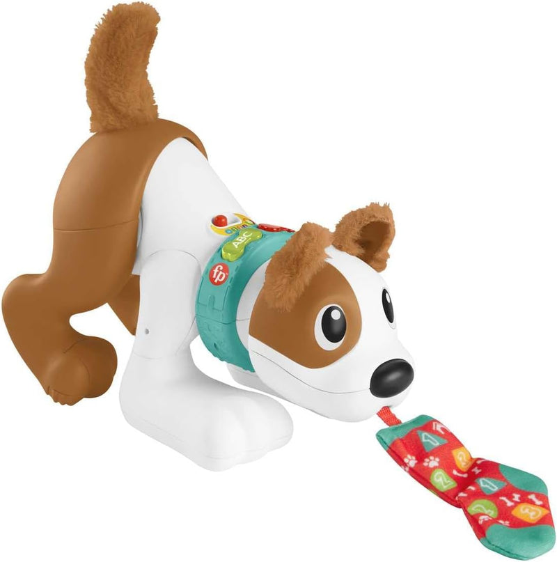 Fisher-Price 123 Crawl With Me Puppy, alternate view