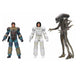 Alien 40th Anniversary Wave 4 - 7" Scale Action Figure Assortment