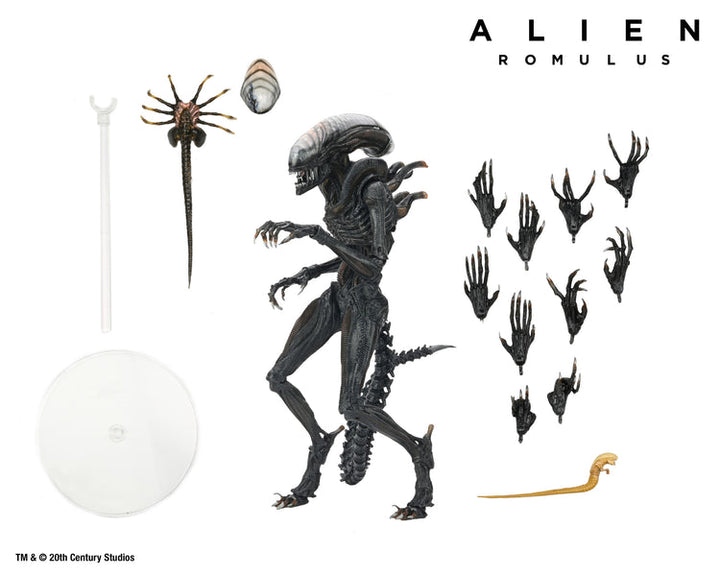 Alien: Romulus: Scorched Xenomorph Ultimate 7" Scale Action Figure