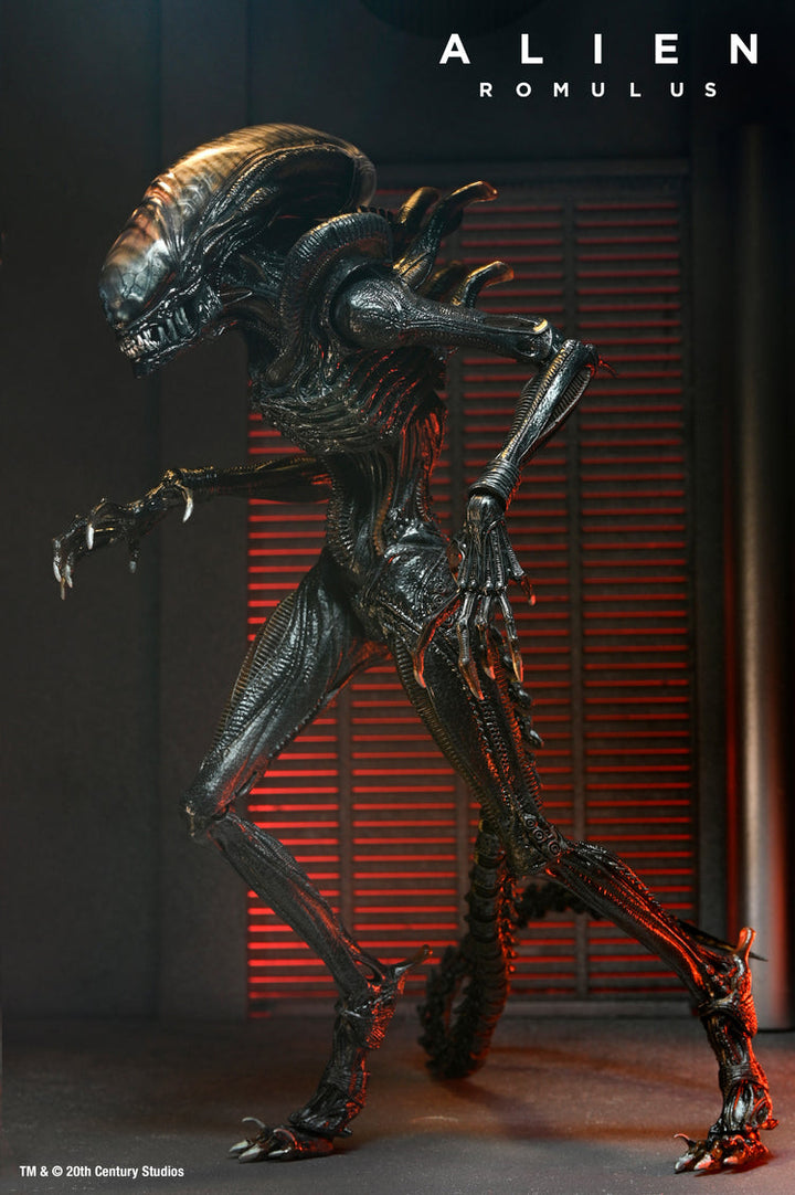 Alien: Romulus: Scorched Xenomorph Ultimate 7" Scale Action Figure