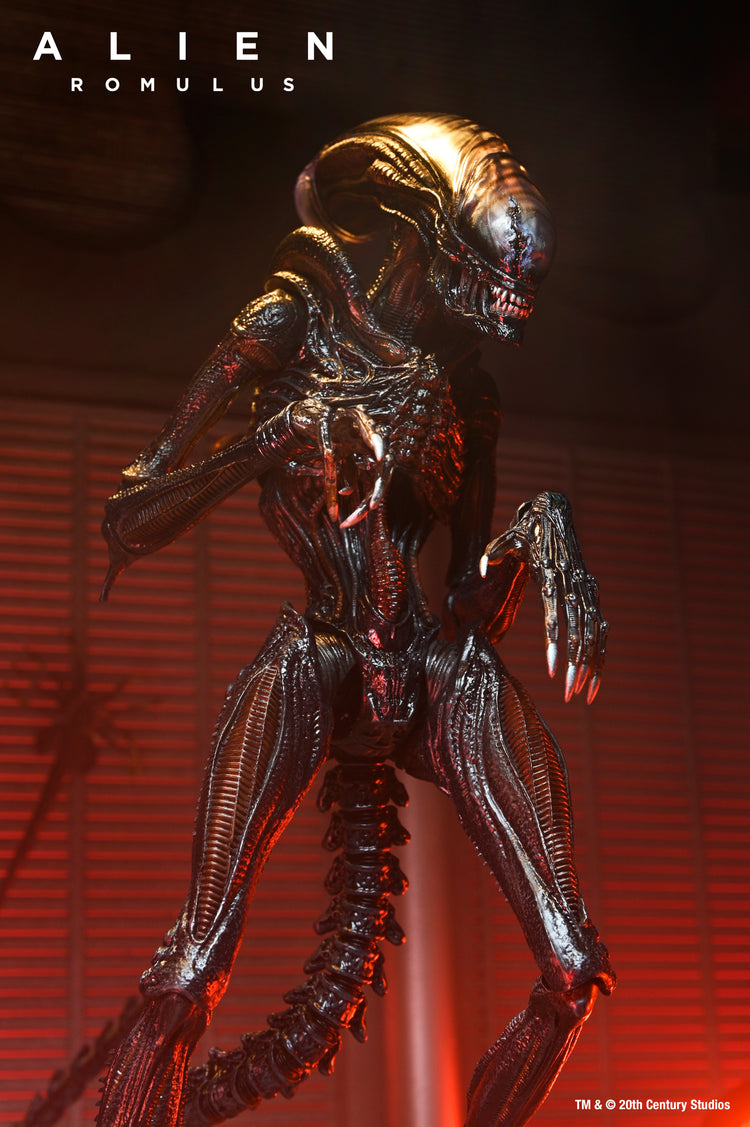Alien: Romulus: Scorched Xenomorph Ultimate 7" Scale Action Figure