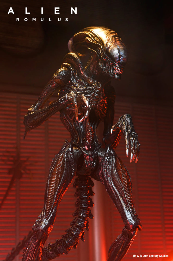 Alien: Romulus: Scorched Xenomorph Ultimate 7" Scale Action Figure