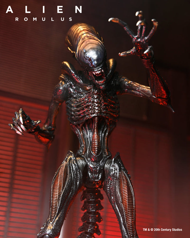 Alien: Romulus: Scorched Xenomorph Ultimate 7" Scale Action Figure