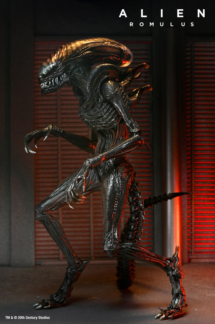 Alien: Romulus: Scorched Xenomorph Ultimate 7" Scale Action Figure