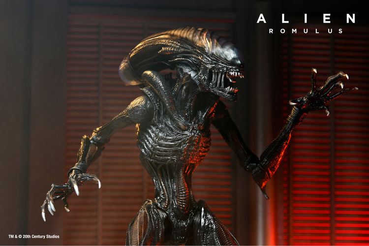 Alien: Romulus: Scorched Xenomorph Ultimate 7" Scale Action Figure
