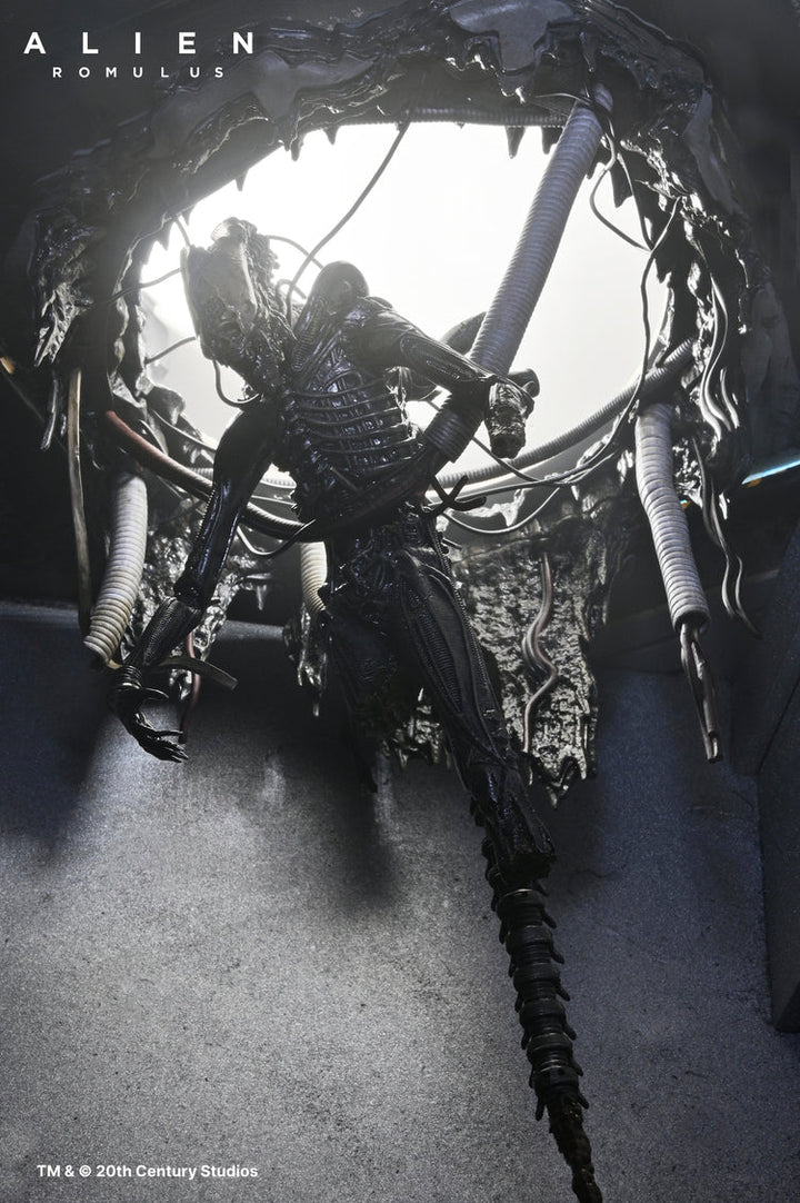 Alien: Romulus Suspended Lab Xenomorph XX121 Deluxe 7" Scale Action Figure (Pre-Order August 2025)