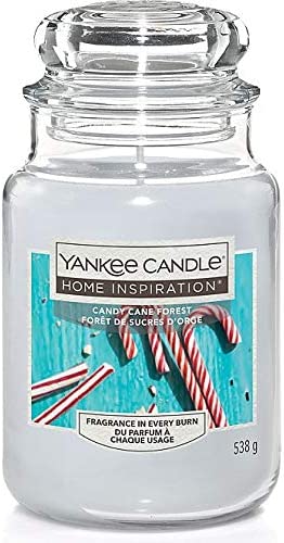 Yankee Candle Candy Cane Forest Large Jar Candle 538g collectible from hanrattycraftsgifts.co.uk