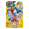 Goo Shifters Tyro packaging
