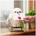 Wizarding World Harry Potter Enchanting Hedwig Owl, in display