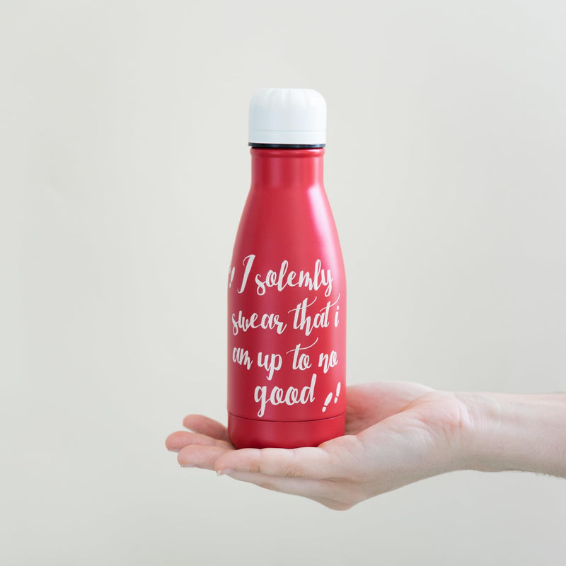 Harry Potter Hot & Cold 260ml Metal Bottle design detail