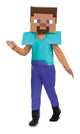 Minecraft Steve Fancy (5-6)