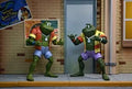 Teenage Mutant Ninja Turtles Cartoon Napoleon & Attila Frog 7" Scale 2-Pack front view