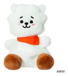 Palm Pals BT21 RJ 5" Plush