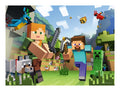 Minecraft, 100pc XXL
