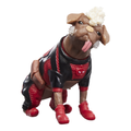 Marvel Legends Series Dogpool and Deadpool